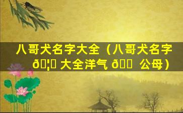 八哥犬名字大全（八哥犬名字 🦅 大全洋气 🐠 公母）